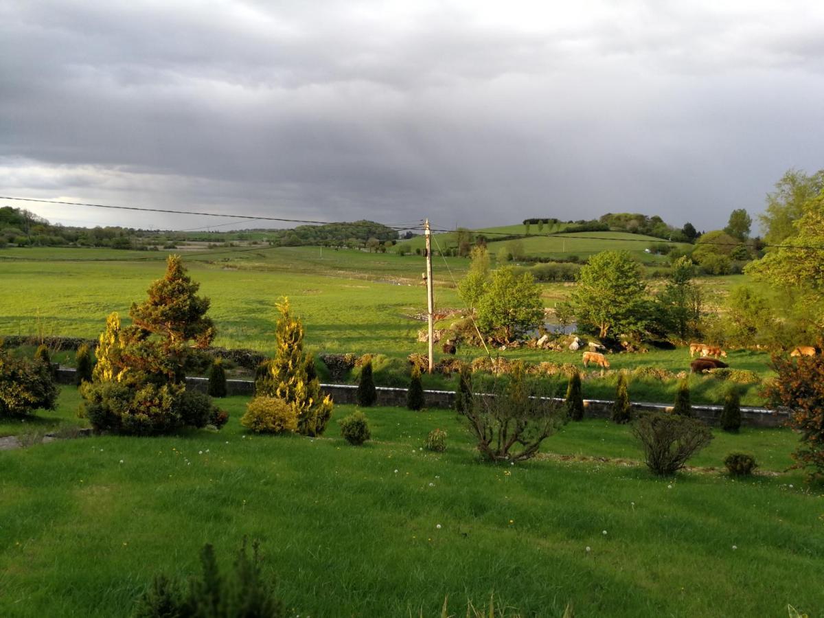 Tower View Lodge Ennis Buitenkant foto
